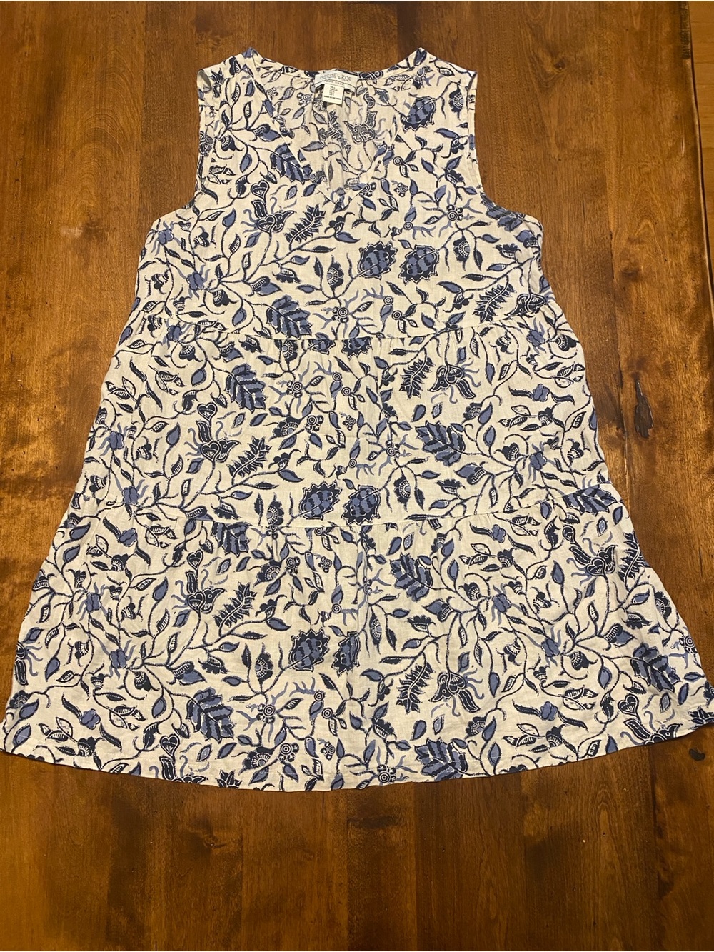 Rachel Zoe Cream Dress with Blue Floral Print